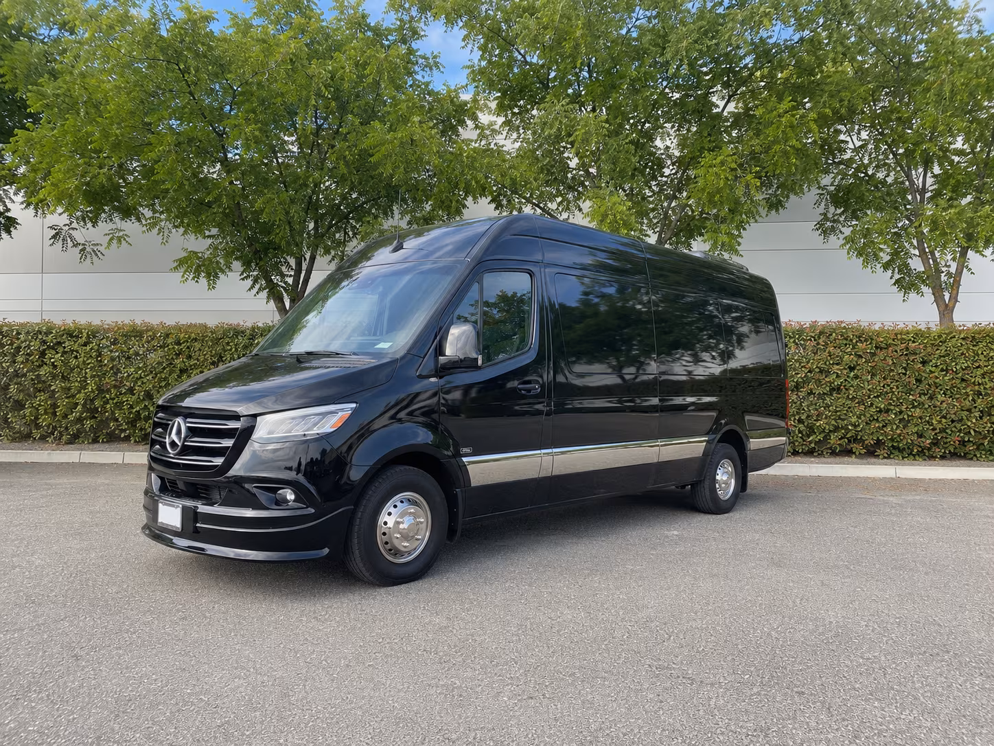 frisco sprinter van with driver